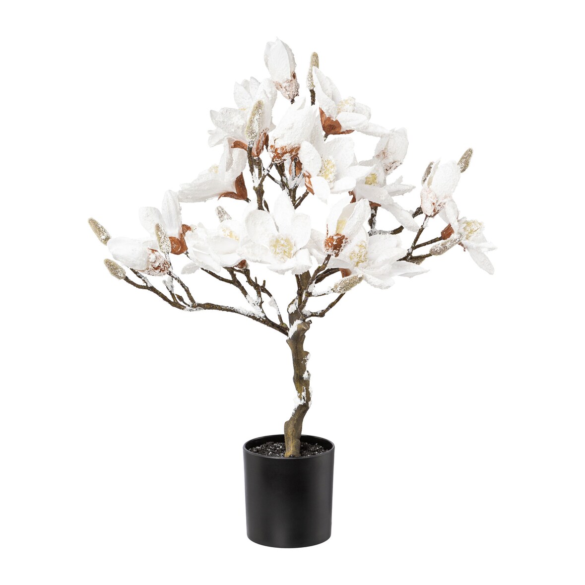 CREATIV green künstliche Pflanze Magnolienbaum beschneit, 58 cm