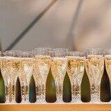 thumbnail of HEKU 144 Stück Sektgläser aus Kunststoff - praktisch & bruchfest, wiederverwendbar - Ideal für Events, Hochzeiten & andere Feste, elegantes Design