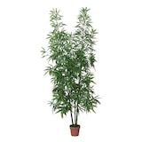 thumbnail of Bambu 200 Cm