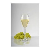 thumbnail of MONOUSO - Sektflöte für Wein Wiederverwendbar Durable Tritan Transparent 240ml (1 Stück)