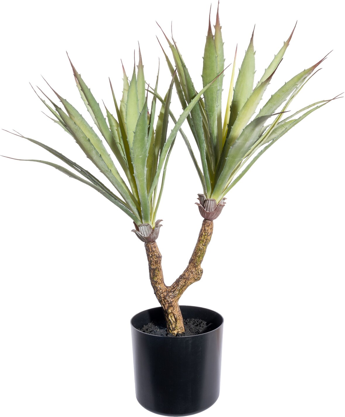 CREATIV green künstliche Pflanze Agave, ca 60cm