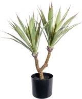 thumbnail of CREATIV green künstliche Pflanze Agave, ca 60cm