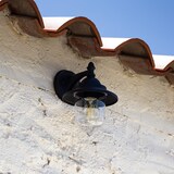 thumbnail of efectoLED Lámpara de Pared de Metal Klasik Negro