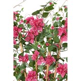 thumbnail of VERT ESPACE plante artificielle bougainvillee large palissade uv resistant 140 cm