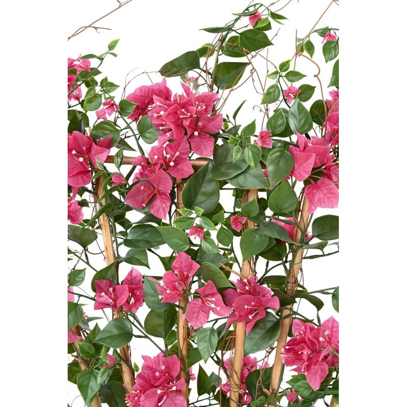 mobile_image