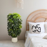 thumbnail of Pianta artificiale / Albero artificiale SCHEFFLERA 2 rami 110 cm plastica verde hjh OFFICE