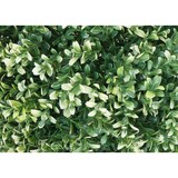 thumbnail of Arbusto artificial HWC-L77, boj bola planta decorativa boj bola planta artificial buxus, exterior Ø 35cm ~ blanco
