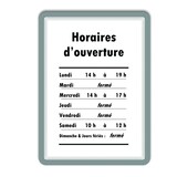 thumbnail of Marco de información