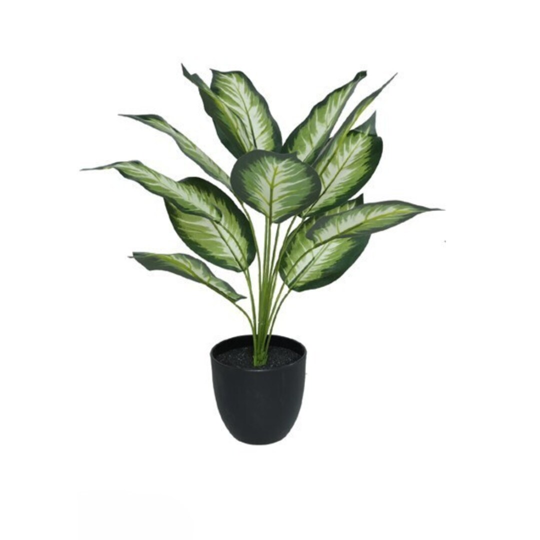 Maceta Planta x12-51cm Mod B