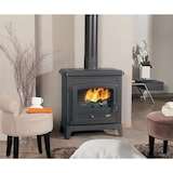 thumbnail of Poêle à bois vintage 389143ANTH