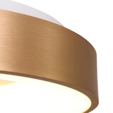 thumbnail of Steinhauer Deckenleuchte 1-fl. "Ringlede" 2563GO Gold