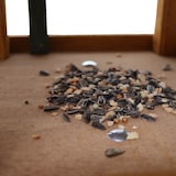 thumbnail of Vogelhaus Karla mit StänderMaße: 50x51x36 cm, Kiefer FSC 100%