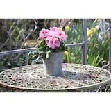 thumbnail of Jinfa drei verzinkte Blumentöpfe Höhe: 16 cm, Ø 22 cm