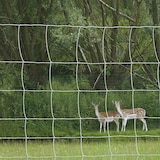 thumbnail of BETAFENCE   Schweres Ursus Bezinal 100/6/15