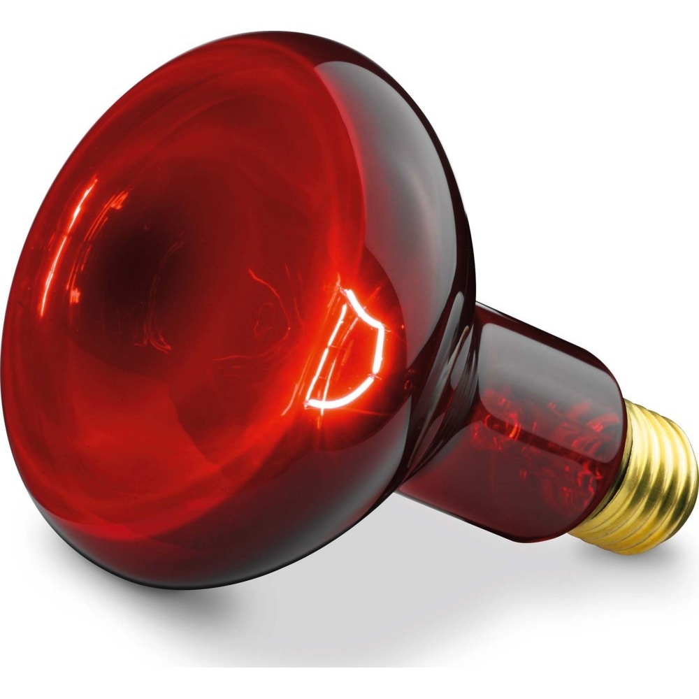 Beurer Zubehör f.Infrarotlampe SIL06/IL11 Ers. 61451