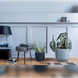 thumbnail of Prosperplast - Terrakottafarbener Blumentopf mit Reservoir, MILLY-Kollektion - 23,9 x 23,9 x 19,7 cm, 7 l Fassungsvermögen