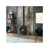 thumbnail of Estufa de leña independiente - P10 (6,8 kW) ECO