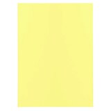 thumbnail of Exacompta - Réf. 850100E - Carton de 1000 sous-chemises SUPER 60 g/m2- dim 22 x 31 cm pour A4 - 5 couleurs