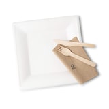 thumbnail of greenbox - Teller aus Zuckerrohr 26 x 26 cm, quadratisch, 50 St.