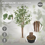 thumbnail of ML-Design – Künstlicher Eukalyptus – 180 cm | Naturholzstamm, im Topf, Kunstbaum wie echt für Wohnzimmer & Büro