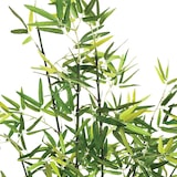 thumbnail of Atmosphera - Kunstbambus in Topf, Höhe 122 cm