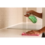 thumbnail of Hygiene VOS Essigreiniger 5L | Entkalker Allzweckreiniger | Sanitär & Küche | Phosphatfrei | Gastronomie, Hotels & Großküchen