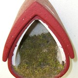 thumbnail of Nisthöhle Meisenresidenz