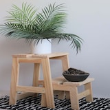 thumbnail of WellHome - Trittleiter mit 2 Stufen aus Holz, Gelb-Finish 32x23x40 cm