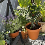 thumbnail of GARDENA Urlaubsbewässerung  Urlaubsbewässerungsset