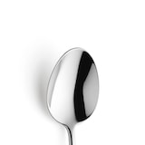 thumbnail of 12 colheres de sobremesa  Metropole