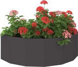 Ein Blumenkasten mit roten und rosa Geranien.