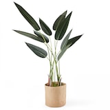 thumbnail of Planta artificial en maceta Strelitzia 90 cm - Oviala