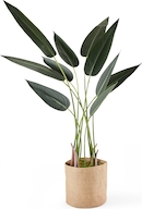 2er-Set Paradiesvogelblume mit Kunstblte - Strelitzia Reginae - Hhe ca.  35-40 cm, Topf- 13 cm | METRO