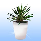 thumbnail of Solar Led Pflanzkübel Topf Blumentopf 28cm Kübel Pflanzentopf leuchtend Blume Weiß 28