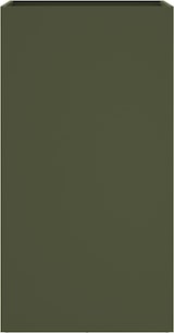 thumbnail of vidaXL Pflanzkübel Olivgrün 42x38x75 cm Stahl
