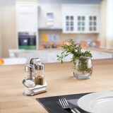 thumbnail of Menage Salz & Pfeffer Wien