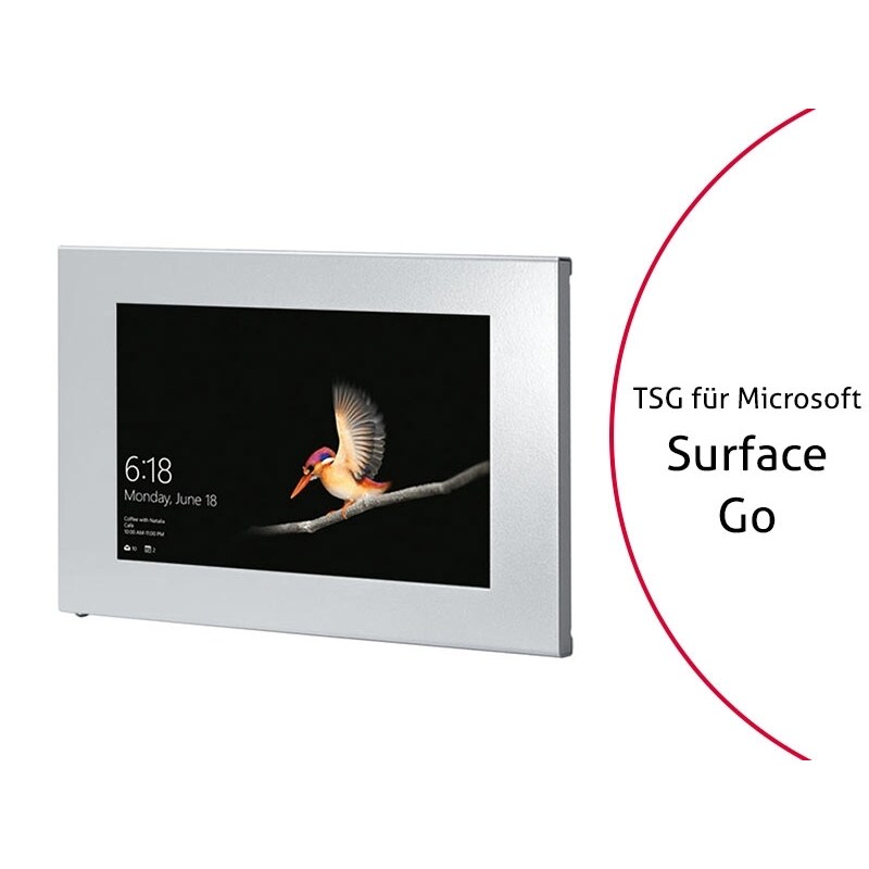 TabLines TSG066S Tablet Schutzgehäuse für Microsoft Surface Go, silber