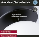 Eine Deckenleuchte mit mattem Opalglas.