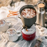 thumbnail of EVOCAMP 8x Propan Butan Gaskartusche 300g - Schraubkartusche passend für Weber Q100/1200