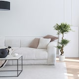 thumbnail of Planta artificial / árbol artificial ACACIA 155 cm verde hjh OFFICE