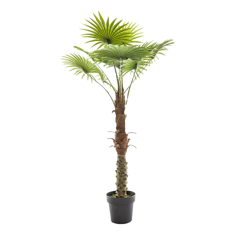 mobile_image