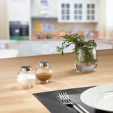 thumbnail of WESTMARK   Salz- + Pfeffer-Streuer-Set "Roma"