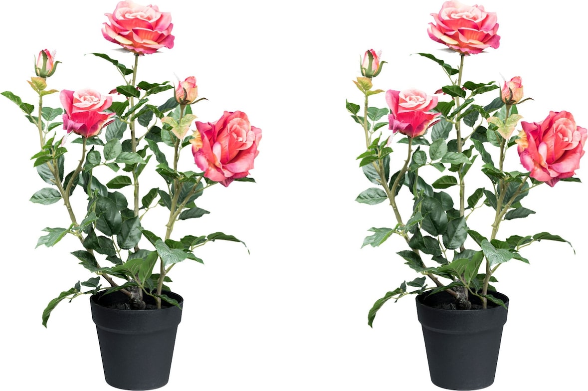 CREATIV green Künstliche Pflanze Rosenbusch im Topf in pink, 2er Set