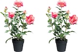 thumbnail of CREATIV green Künstliche Pflanze Rosenbusch im Topf in pink, 2er Set