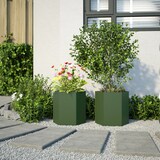 thumbnail of vidaXL Garten-Pflanzgefäße 2 Stk.Olivgrün Sechseckig 46x40x45 cm Stahl