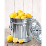 thumbnail of Jinfa Mülleimer mit Deckel, Ascheeimer, Abfallbehälter, Mülltonne, Papierkorb aus Metall, Zink,  Ø 21,5 cm, Höhe 21,5 cm 7 Liter