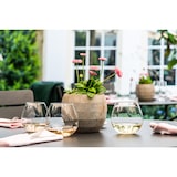 thumbnail of Royal Leerdam Weinglas 805222 805222 runda 72 cl - Transparent 6 Stück