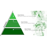 thumbnail of Proandre 750ml starker Aerosolspray/Geruchsvernichter Bambus