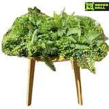 thumbnail of BALI | Paneles Pared Selva Artificial | Plantas Artificiales Montaje en Pared Selva Tropical | Paneles Pared Hostelería Peluquería Interior Exterior