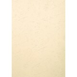 thumbnail of Exacompta 2780C 4x 100er Packung Einbanddeckel, Evercover 270g/qm, Lederprägung, für DIN A4 Format - Elfenbein